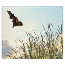 Bats Flying In Spring Season Sky For Background Usage  Rugs 83690078