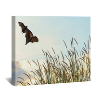 Bats Flying In Spring Season Sky For Background Usage  Wall Art 83690078