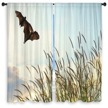 Bats Flying In Spring Season Sky For Background Usage  Window Curtains 83690078