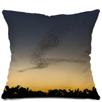 Bats Forage Pillows 101314334