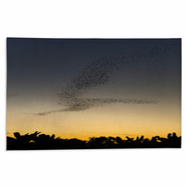 Bats Forage Rugs 101314334