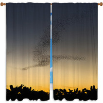 Bats Forage Window Curtains 101314334