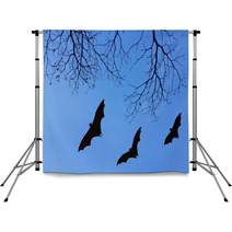 Bats Silhouettes And Beautiful Branch For Background Usage Backdrops 83689231