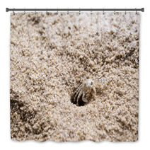 Beach Crab Coming Out Of Hole Bath Decor 100541179