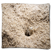 Beach Crab Coming Out Of Hole Blankets 100541179