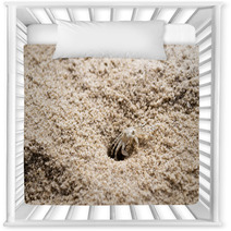 Beach Crab Coming Out Of Hole Nursery Decor 100541179
