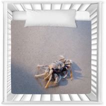 Beach Crab Standing On Wet Sand Nursery Decor 100541336