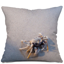 Beach Crab Standing On Wet Sand Pillows 100541336