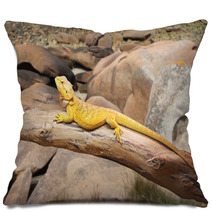 Bearded Dragon Pillows 59747839