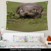 Beautiful And Playful River Otter From Czech Republic / River Otter(lutra Lutra) Wall Art 100572153