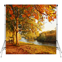 Beautiful Autumn In The Park Backdrops 45108931