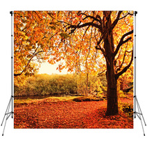 Beautiful Autumn In The Park Backdrops 45108959