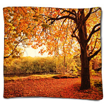 Beautiful Autumn In The Park Blankets 45108959