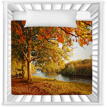 Beautiful Autumn In The Park Nursery Decor 45108931