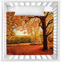 Beautiful Autumn In The Park Nursery Decor 45108959