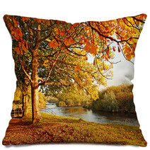 Beautiful Autumn In The Park Pillows 45108931