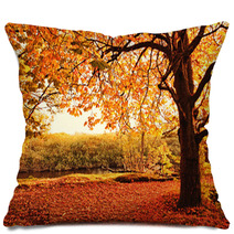 Beautiful Autumn In The Park Pillows 45108959