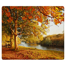 Beautiful Autumn In The Park Rugs 45108931