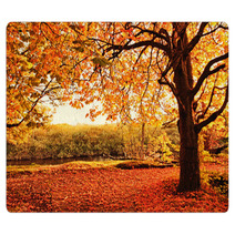 Beautiful Autumn In The Park Rugs 45108959