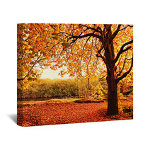 Beautiful Autumn In The Park Wall Art 45108959