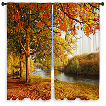 Beautiful Autumn In The Park Window Curtains 45108931
