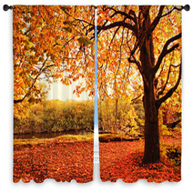 Beautiful Autumn In The Park Window Curtains 45108959