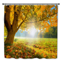 Beautiful Autumn Tree With Fallen Dry Leaves Bath Decor 69080573