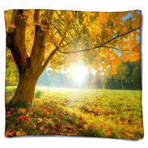 Beautiful Autumn Tree With Fallen Dry Leaves Blankets 69080573