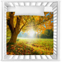 Beautiful Autumn Tree With Fallen Dry Leaves Nursery Decor 69080573
