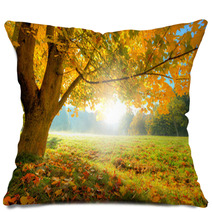 Beautiful Autumn Tree With Fallen Dry Leaves Pillows 69080573