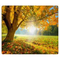 Beautiful Autumn Tree With Fallen Dry Leaves Rugs 69080573