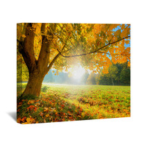 Beautiful Autumn Tree With Fallen Dry Leaves Wall Art 69080573