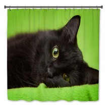 Beautiful Black Cat With Green Eyes Lrelaxing On Green Blanket Bath Decor 59581281