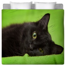 Beautiful Black Cat With Green Eyes Lrelaxing On Green Blanket Bedding 59581281