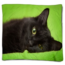 Beautiful Black Cat With Green Eyes Lrelaxing On Green Blanket Blankets 59581281