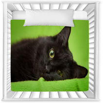 Beautiful Black Cat With Green Eyes Lrelaxing On Green Blanket Nursery Decor 59581281
