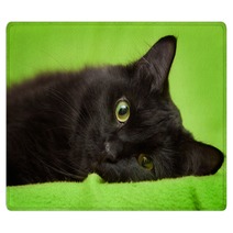 Beautiful Black Cat With Green Eyes Lrelaxing On Green Blanket Rugs 59581281