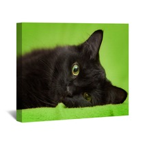 Beautiful Black Cat With Green Eyes Lrelaxing On Green Blanket Wall Art 59581281