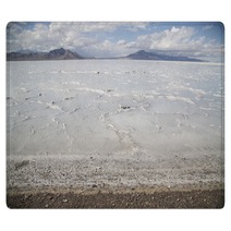 Beautiful Bonneville Salt Flats After A Summer Rain Storm Rugs 68304609