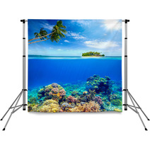 Beautiful Coral Reef On The Background Of A Small Island Backdrops 65536024
