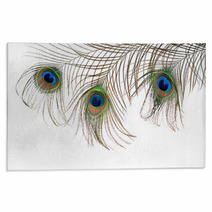 Beautiful Feather Of A Peacock Isolated On White Rugs 63043173
