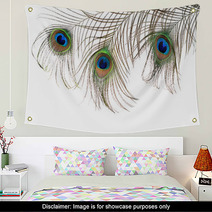 Beautiful Feather Of A Peacock Isolated On White Wall Art 63043173