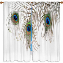 Beautiful Feather Of A Peacock Isolated On White Window Curtains 63043173
