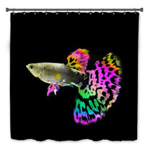 Beautiful  Guppy  Fish Swimming Isolated On Black Bath Decor 64121090