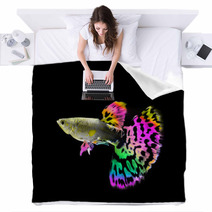 Beautiful  Guppy  Fish Swimming Isolated On Black Blankets 64121090