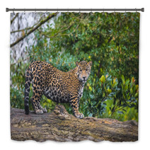 Beautiful Jaguar Animal In It's Natural Habitat Bath Decor 59596176