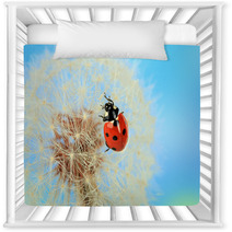 Beautiful Ladybird  On Dandelion, Close Up Nursery Decor 59913602