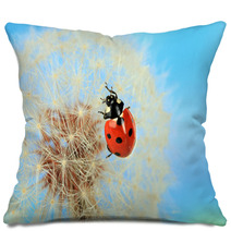 Beautiful Ladybird  On Dandelion, Close Up Pillows 59913602