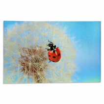 Beautiful Ladybird  On Dandelion, Close Up Rugs 59913602