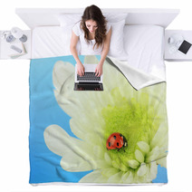 Beautiful Ladybird  On Flower, Close Up Blankets 59865622